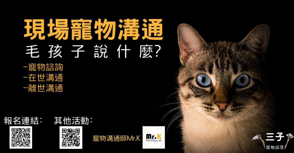現場寵物溝通